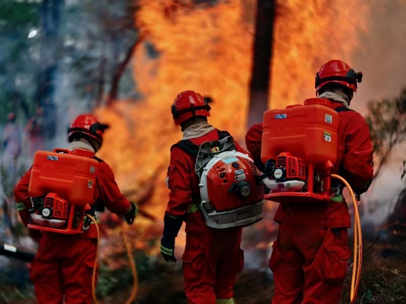 国家森防指办公室、应急管理部会商近期森林火险形势 调度部署重点地区防控工作